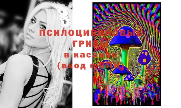 синтетический гашиш Новочеркасск