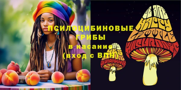 ECSTASY Абаза